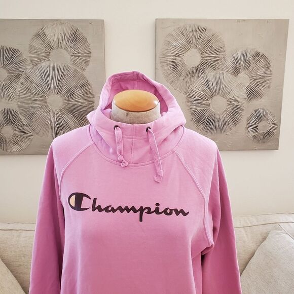 Champion Powerblend Fleece Graphic Hoodie Sz Small - Picture 3 of 14